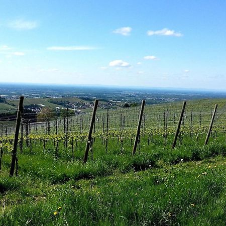 Ferienhof Vordere Alm Oberkirch  Dış mekan fotoğraf