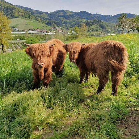 Ferienhof Vordere Alm Oberkirch  Dış mekan fotoğraf